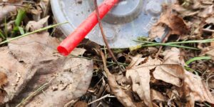 biodegradable straws decompose