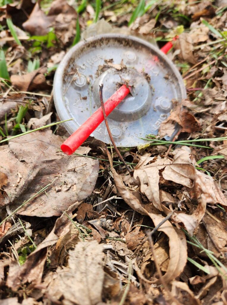 biodegradable straws decompose